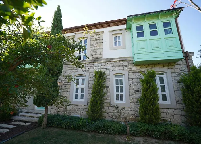 Cesme Havuzlu Muestakil 别墅 *